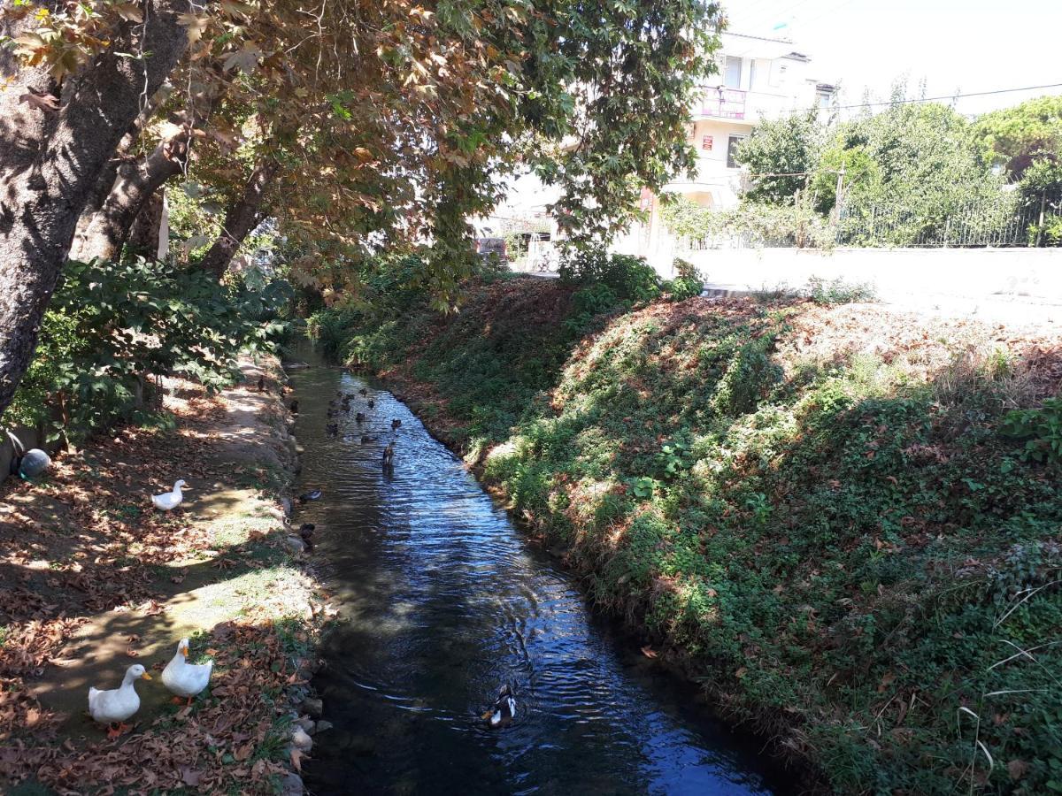 Samos Apart Pension Guzelcamlı Exteriér fotografie
