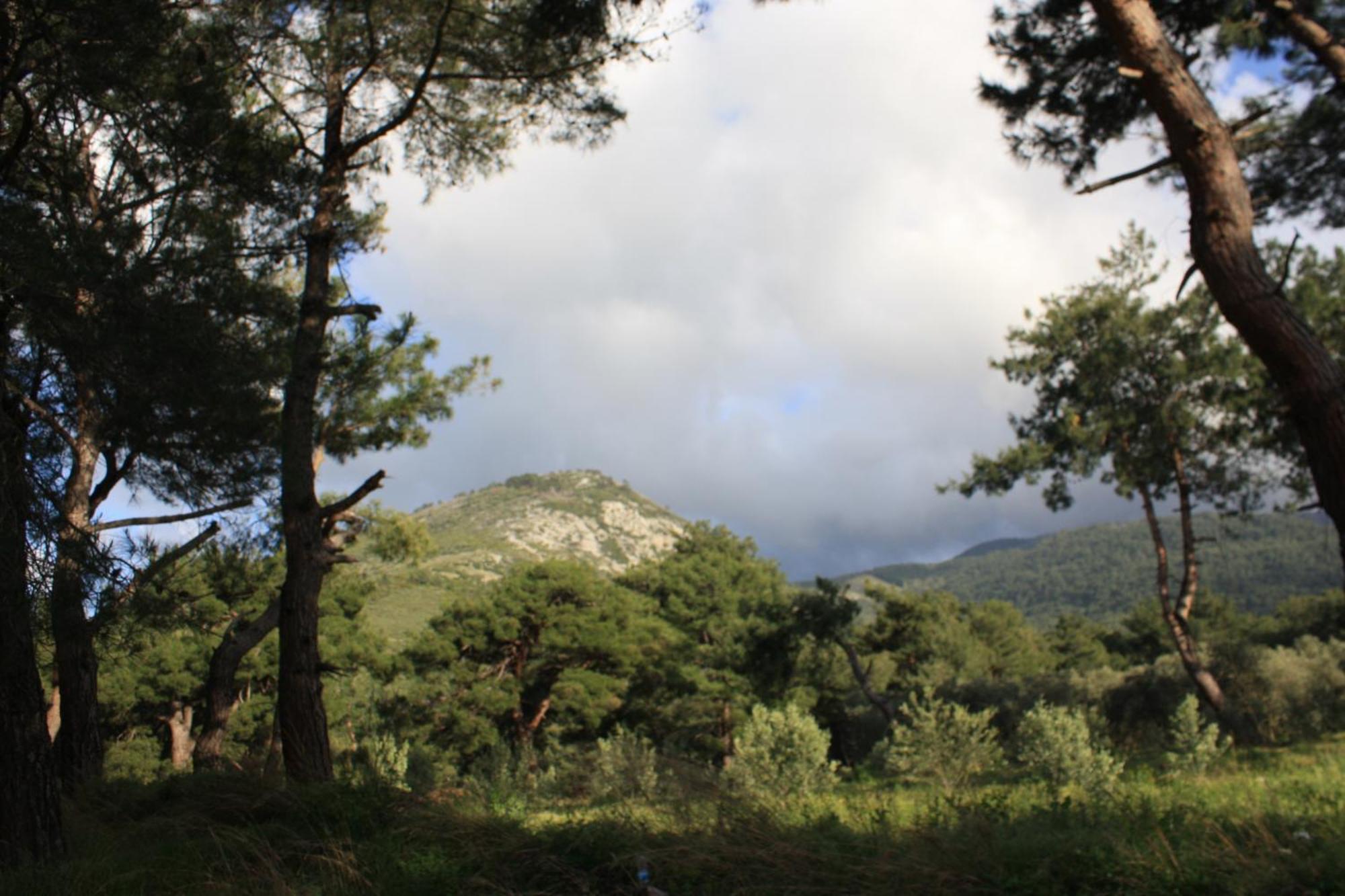 Samos Apart Pension Guzelcamlı Exteriér fotografie
