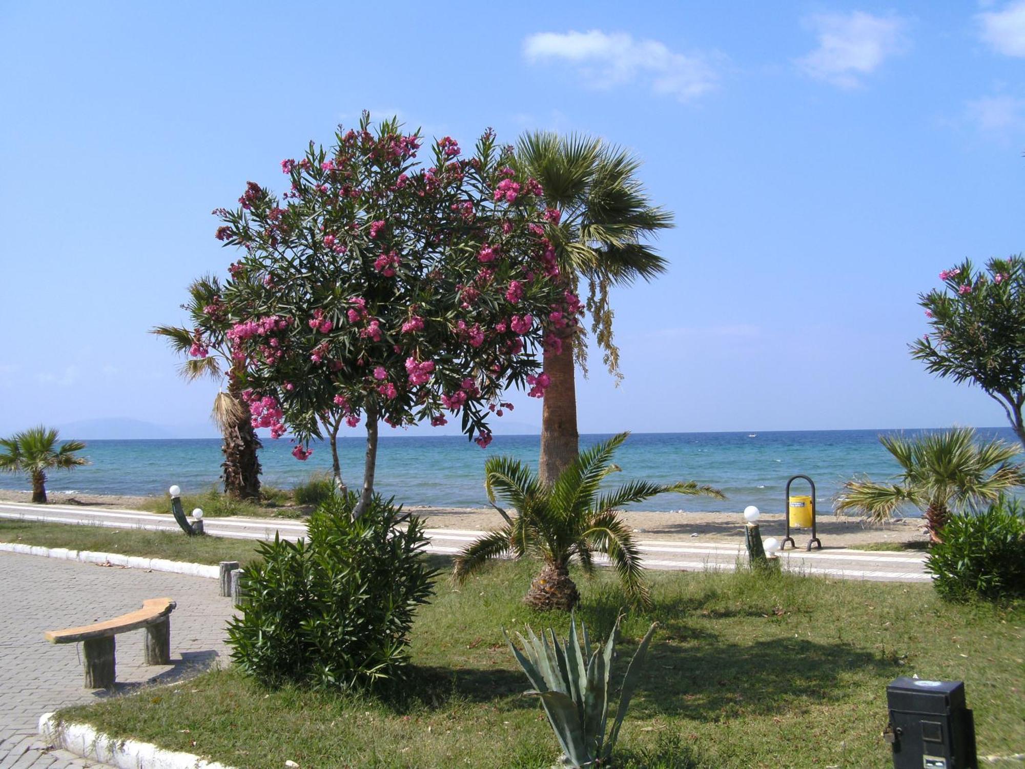 Samos Apart Pension Guzelcamlı Exteriér fotografie